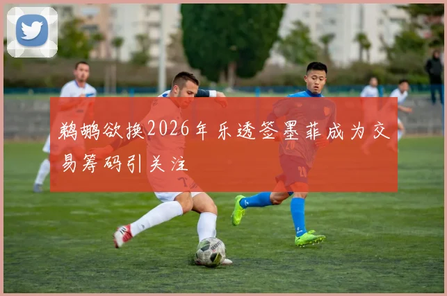 鹈鹕欲换2026年乐透签墨菲成为交易筹码引关注