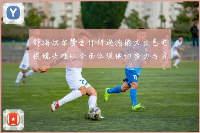 舒梅切尔赞舍什科逼抢能力出色电视镜头难以全面体现他的努力与贡献